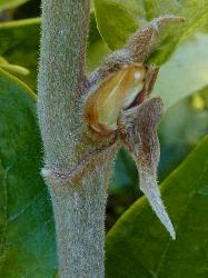 © Landcare Research 2012 